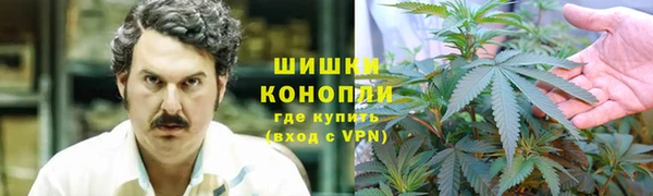 трава Горняк