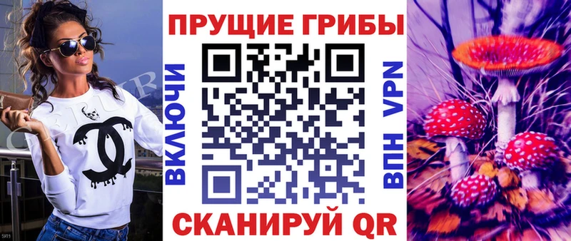 купить наркотики сайты  MEGA ТОР  Галлюциногенные грибы MAGIC MUSHROOMS  Кушва 
