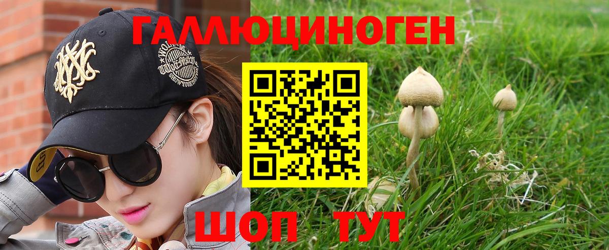 Галлюциногенные грибы GOLDEN TEACHER Кушва