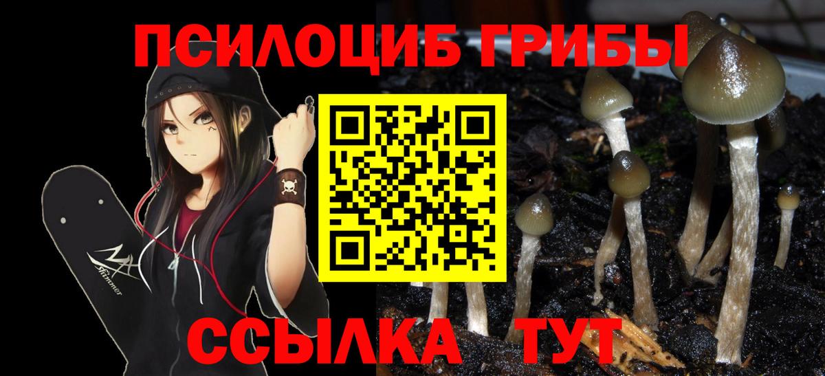 Кушва  Псилоцибиновые грибы GOLDEN TEACHER  Вход с VPN  Псилоцибиновые грибы GOLDEN TEACHER 